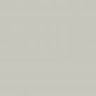 Grigio Ral D2 1008005 Laccato Opaco
